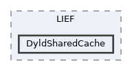 DyldSharedCache